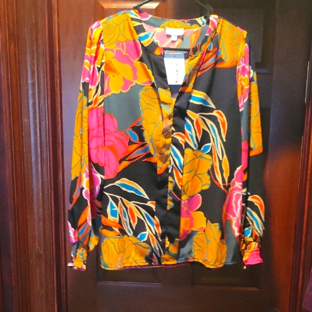 Multicolored V-Neck Long Sleeve Blouse